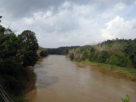 कावेरी जल छोड़े जाने पर 23 अगस्त को सर्वदलीय बैठक: उपमुख्यमंत्री