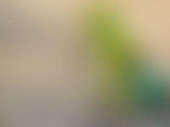 ‘अगर मैंने कभी किसी को ठेस पहुंचाई हो तो मुझे माफ कर देना’: सीजेआई डीवाई चंद्रचूड़ ने विदाई भाषण में कहा