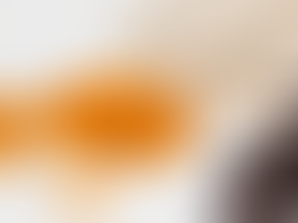 सिंगापुर, हांगकांग में एमडीएच, एवरेस्ट मसाला पर प्रतिबंध