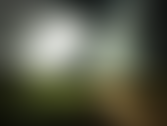 चक्रवात बिपरजोय अगले 48 घंटों के दौरान तीव्र होगा, आईएमडी ने चेतावनी जारी की