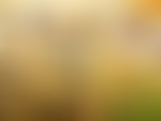 क्रिकेट विश्वकप 1983 में भारत की जीत पर आधारित फिल्म '83' का ट्रेलर हुआ लॉन्च।