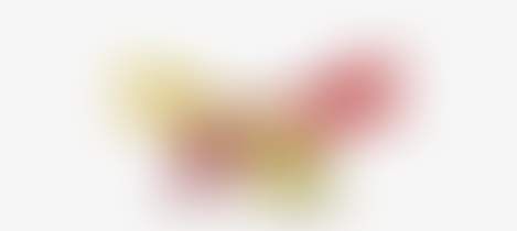 आखिर सेलिब्रिटीज़ क्यों रखते हैं अपनी शादी को इतना निजी।