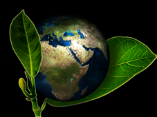 जयशंकर ने ग्लोबल साउथ से आत्मनिर्भरता, आपूर्ति श्रृंखला पर ध्यान केंद्रित करने को कहा