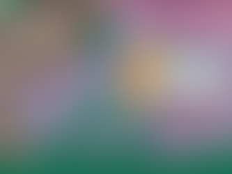 Reportaje: El tráfico de terrenos en las Lomas de Paraíso