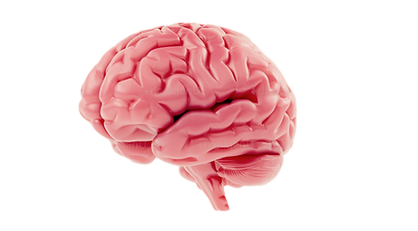 Adobe Express 2025-05-26 14_edited.png