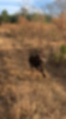 image0.jpeg