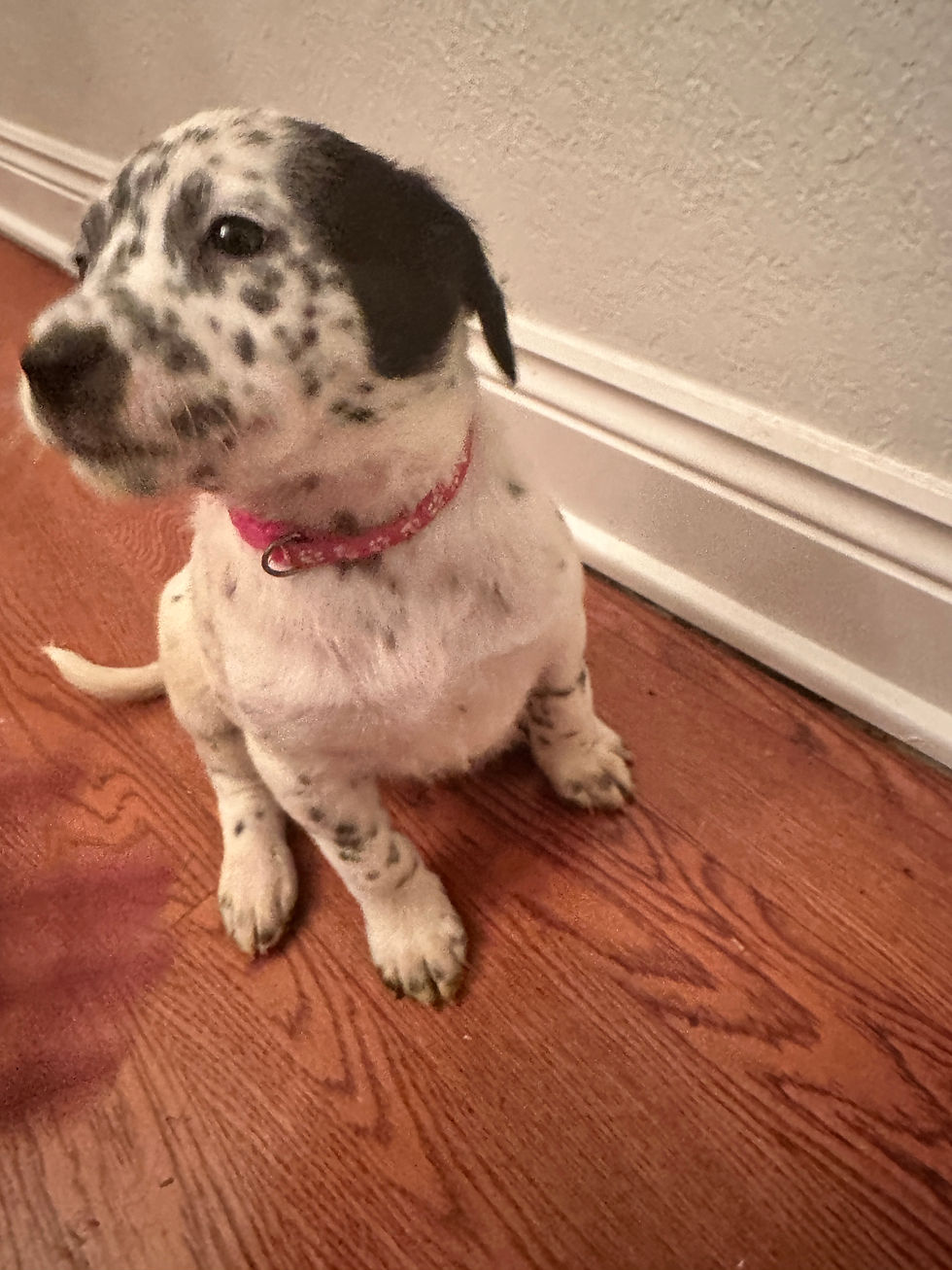 Thumbnail: Hot Pink Girl