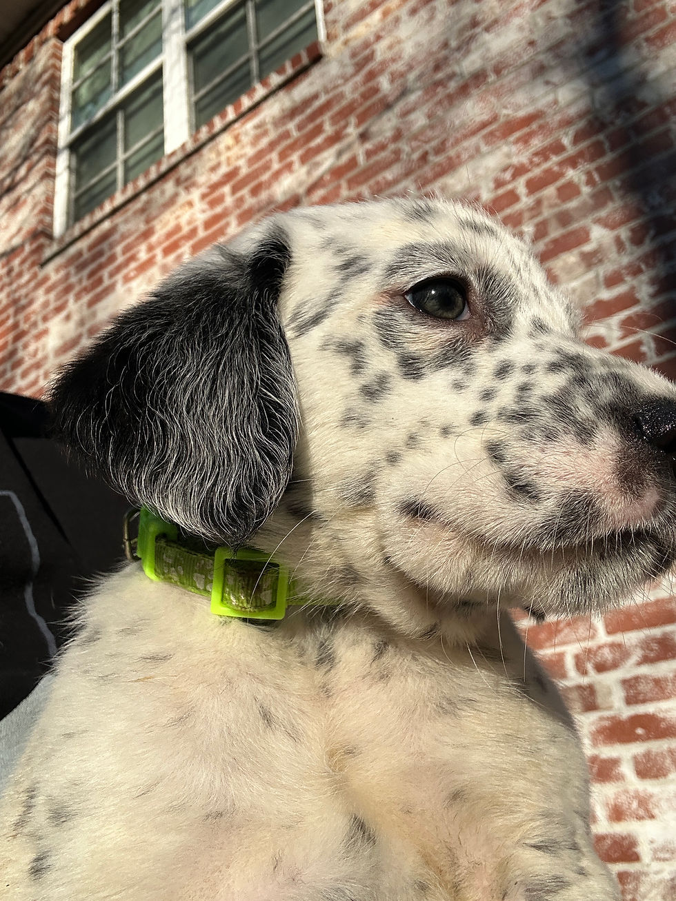 Thumbnail: Lime Green Boy