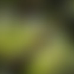 5 Ways to Celebrate International Coffee Day