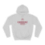 Thumbnail: Unisex Cardiac Sonographer College Hoodie