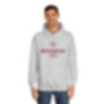 Thumbnail: Unisex Business Leader College Hoodie