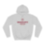 Thumbnail: Unisex Graduate College Hoodie