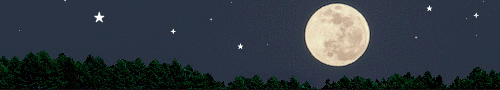 slginga-moon-ani500.gif