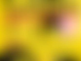 来るぞ！メガ恋19