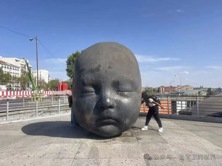 非洲人不都是黑人(第67天)