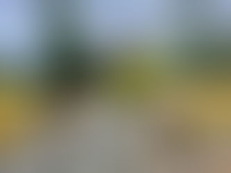 写一首歌·三年(第70天)