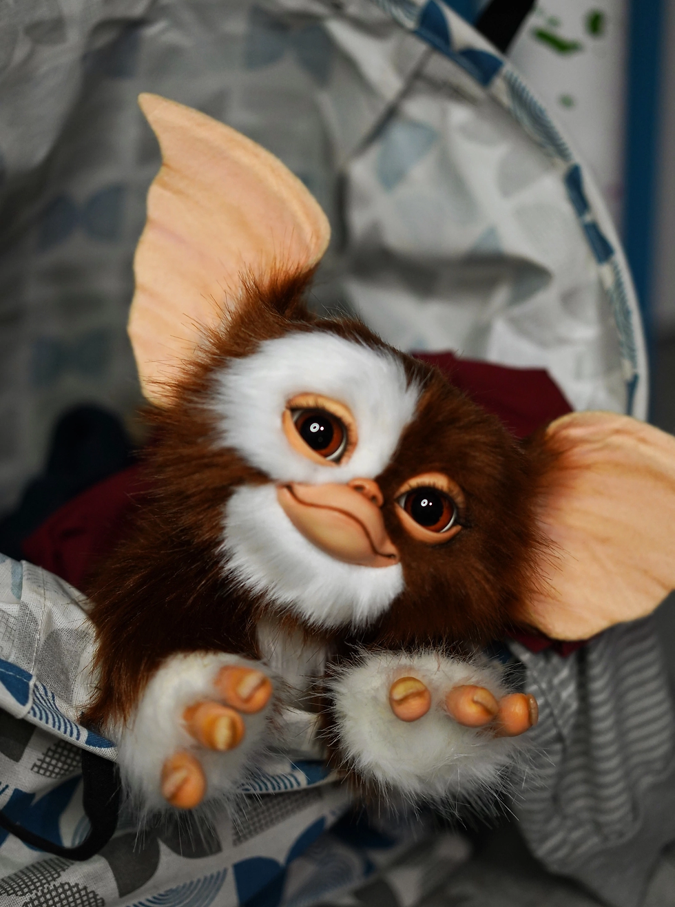 Thumbnail: Gizmo