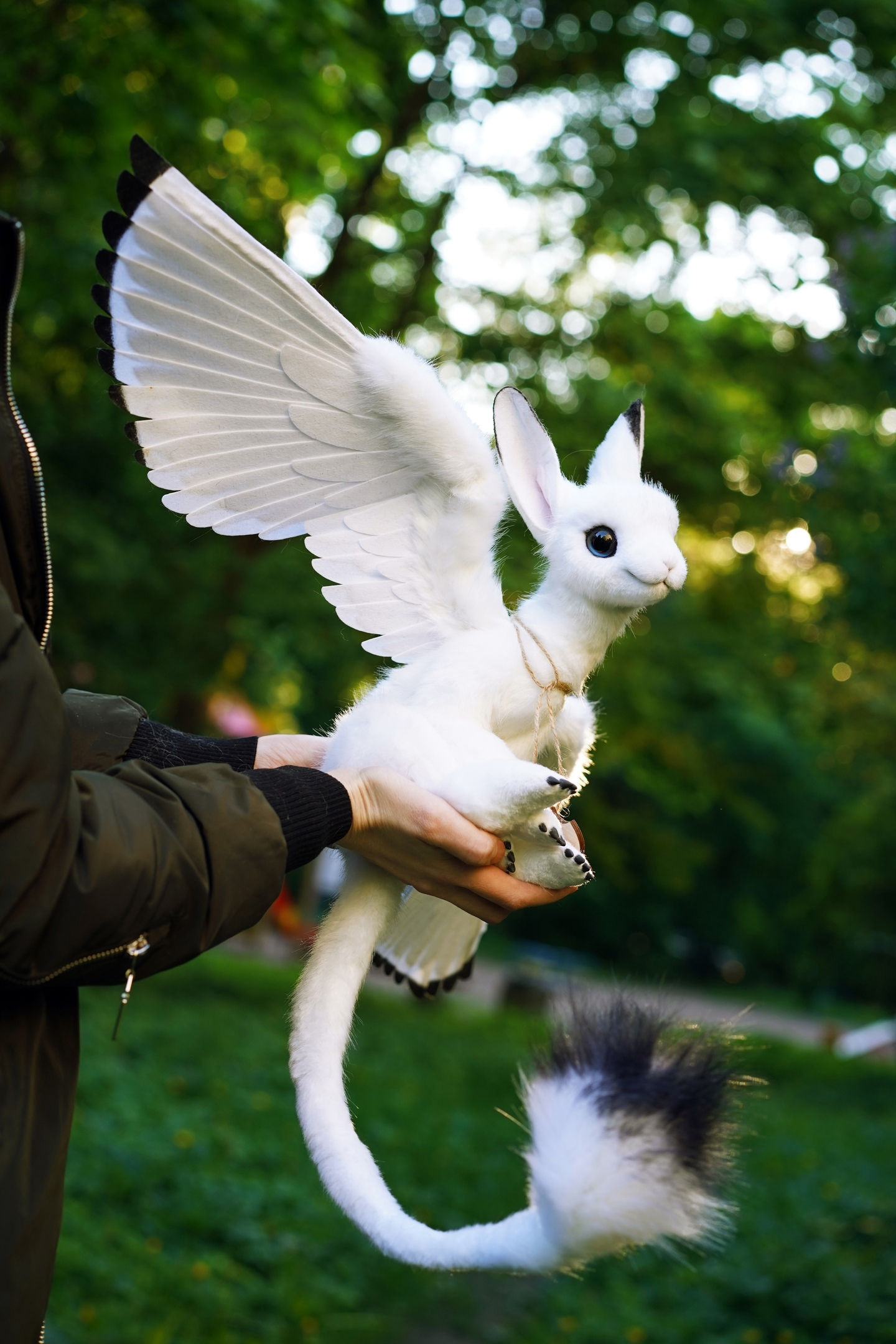 Bellus Lepus Griffin