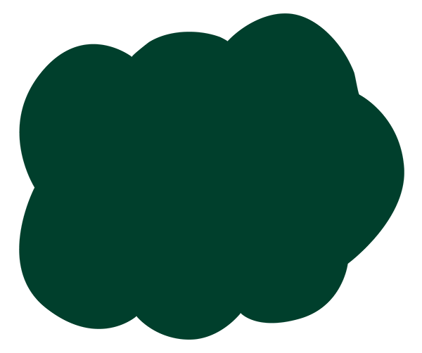 Dark green brand icon