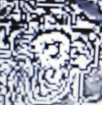 1000043715.jpg