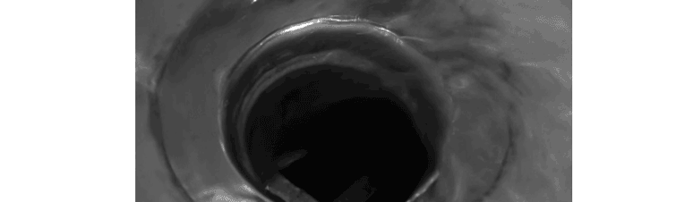 Psycho-2.gif
