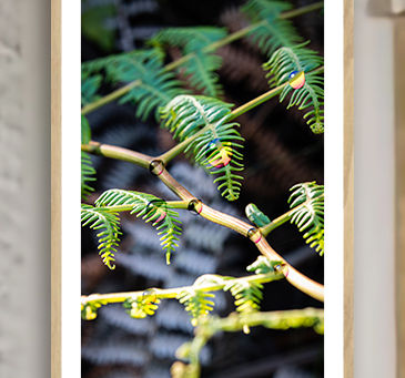 Emoldurando um Quadro Fine Art Decor