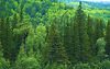 355871_edited.jpg