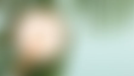 El Colágeno Hidrolizado