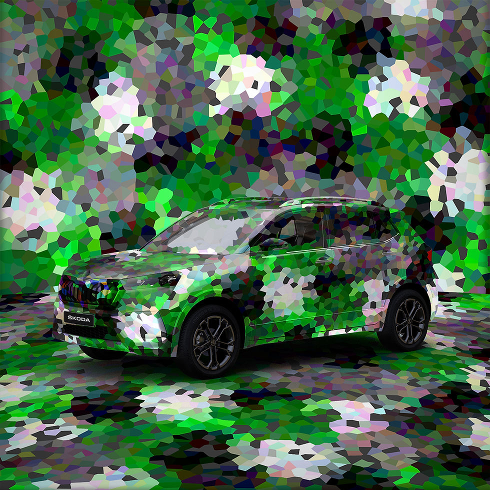 Camouflage Concept 1