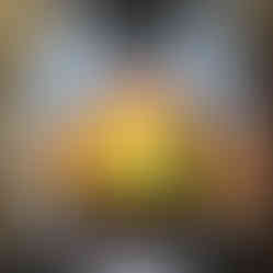 A desert sunset and cactus airbrushed on a shirt. Airbrush on white apparel. An Arizona desert scene sunset in contrast to the wet pool or beach where the swimsuit will be worn.