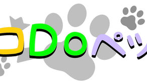 ココDoペットがスタート