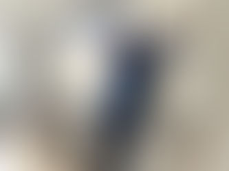 Das Parlament kommt zu dir