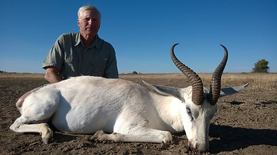 ManLind Safaris White Springbuck