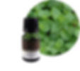 EM-18綠薄荷