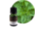 EM-16薄荷