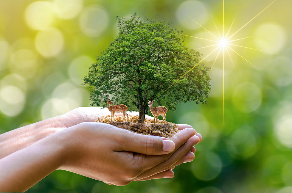 iStock-923345620 jpg