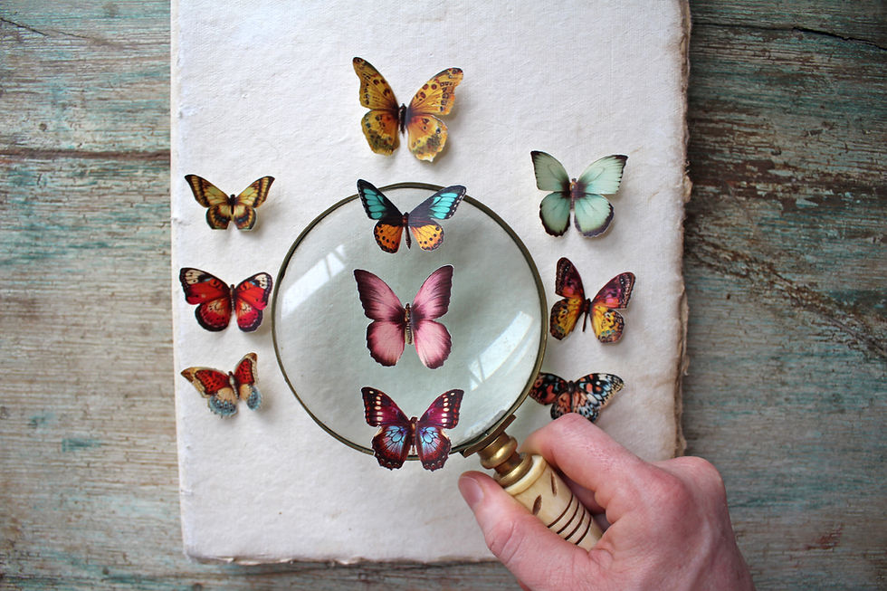 Thumbnail: Antique Butterflies ---- 10-Piece Set --- Sticker or Paper