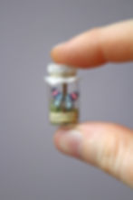 Thumbnail: Miniature Captive Butterfly - Choose Your Specimen