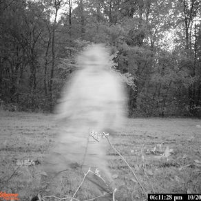 On the Subject of Ghosts