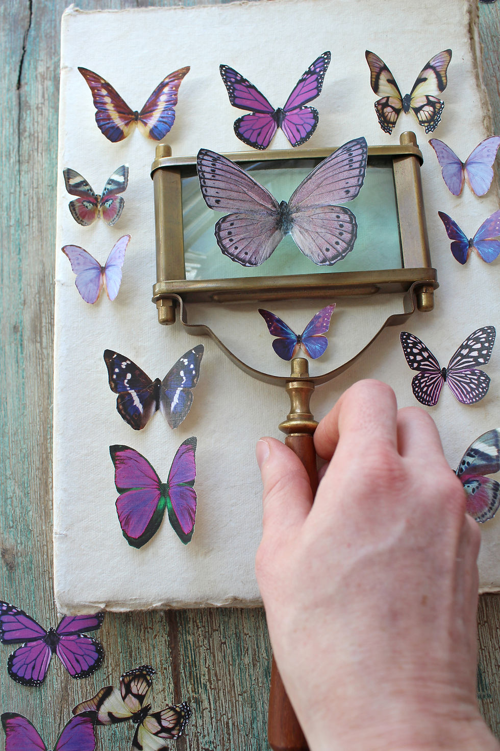 Thumbnail: Assorted Purple Butterflies --- Paper or Sticker --- Choose Your Quantity