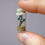 Thumbnail: Miniature Captive Butterfly - Choose Your Specimen