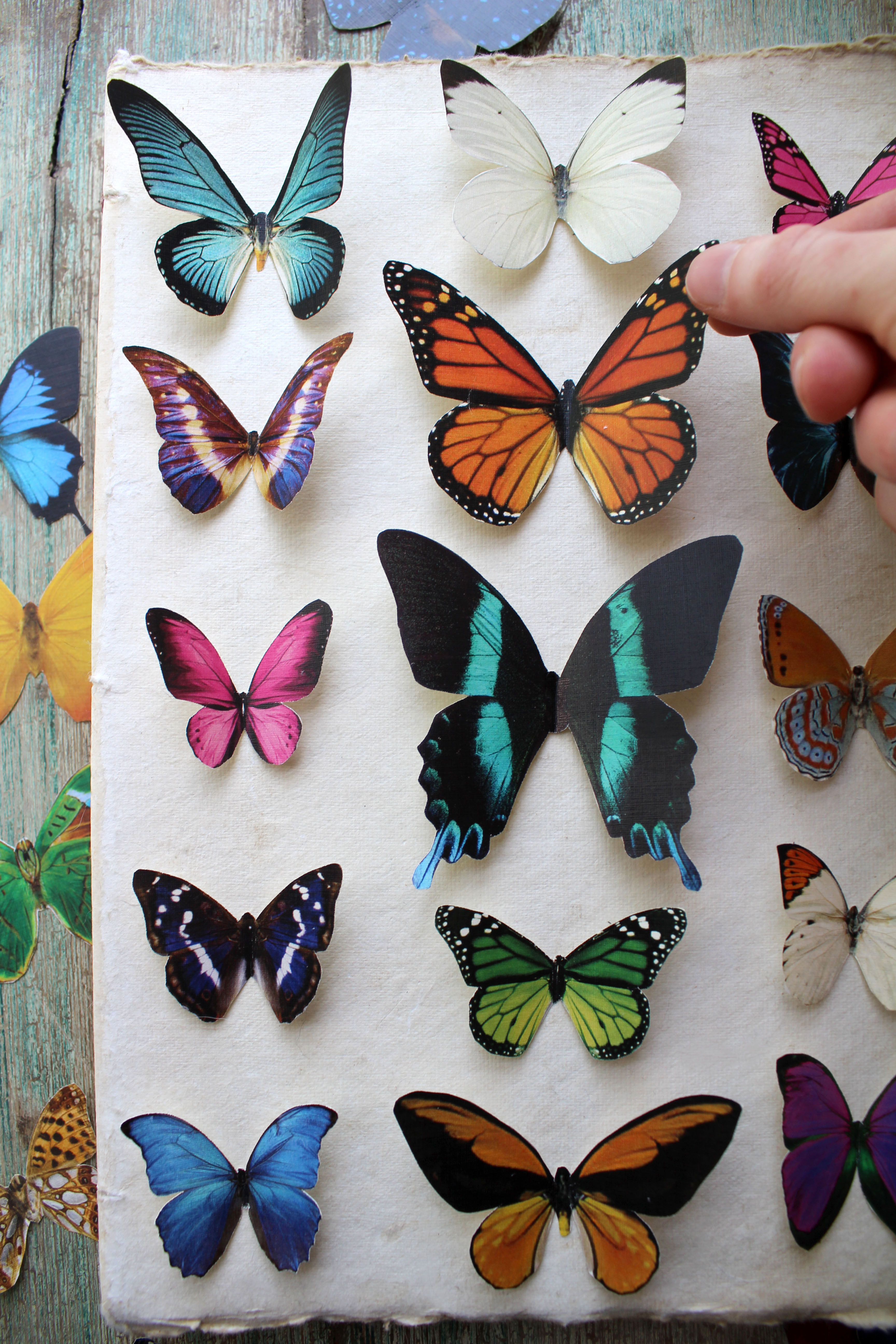 Assorted Butterflies --- Paper or Sticker --- Choose Your Quantity