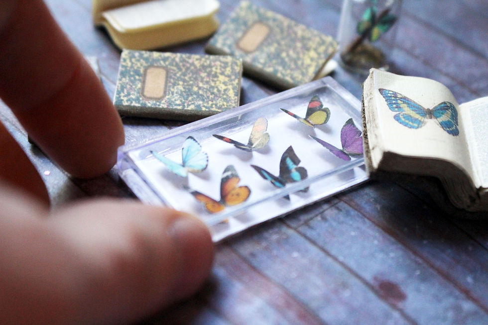 Thumbnail: Miniature Paper Moths
