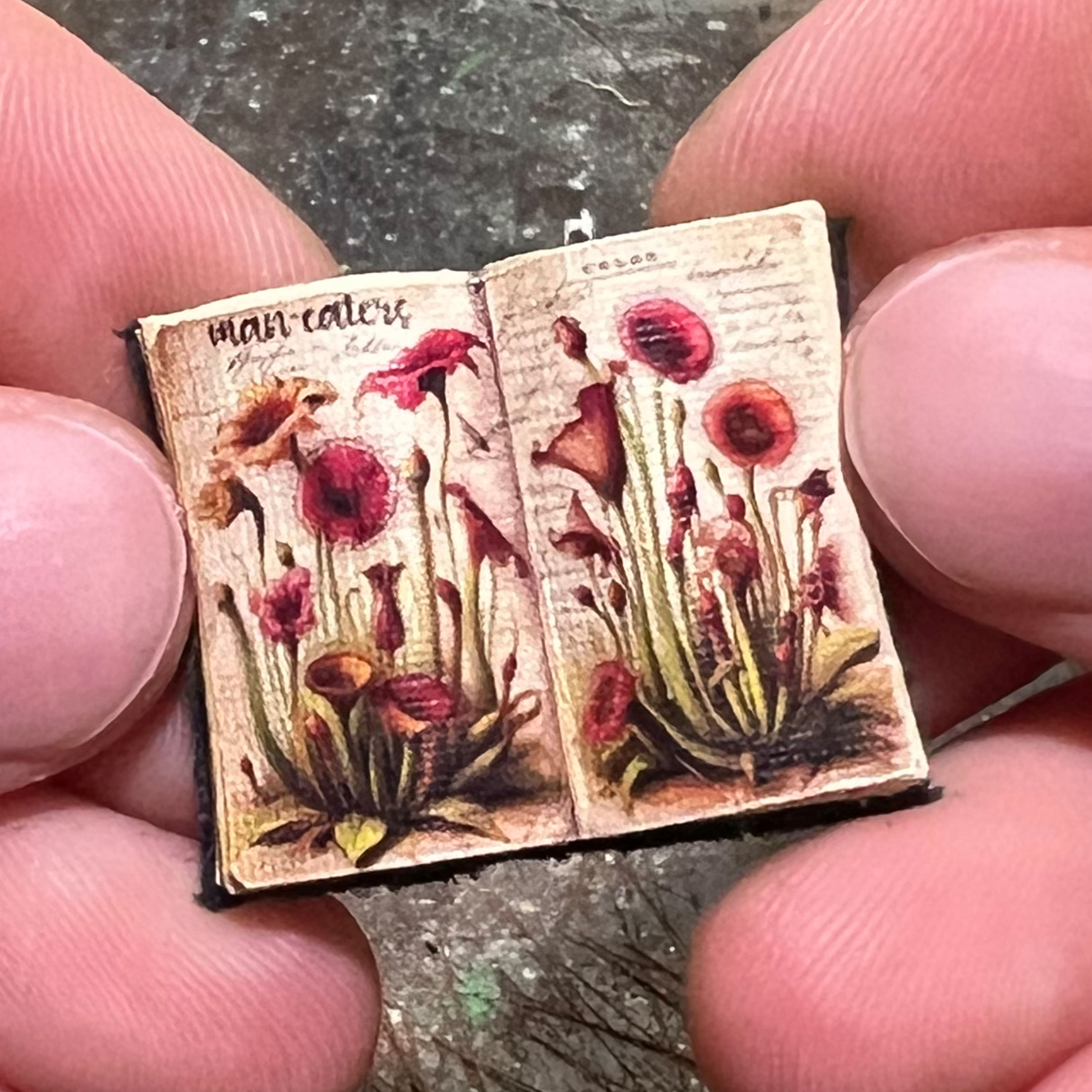 Miniature Open Book --- Man-Eating Plants
