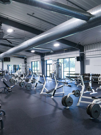 Spacious modern gym with various weight machines and free weights available.