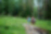 couple-hiking-mountains.jpg