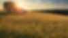 thomas-despeyroux-c78BELUHTzY-unsplash.j