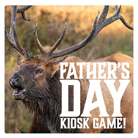 Father's Day__KIOSK GAME WEBTILE.jpg