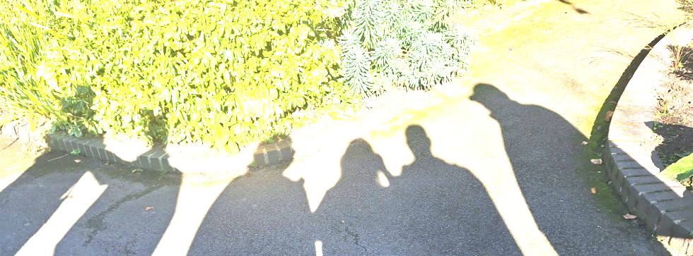 Screenshot 2025-09-07 114430.png