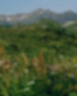 DTS_HI-TREK_Fanette_Guilloud_Photos_ID11226.jpg